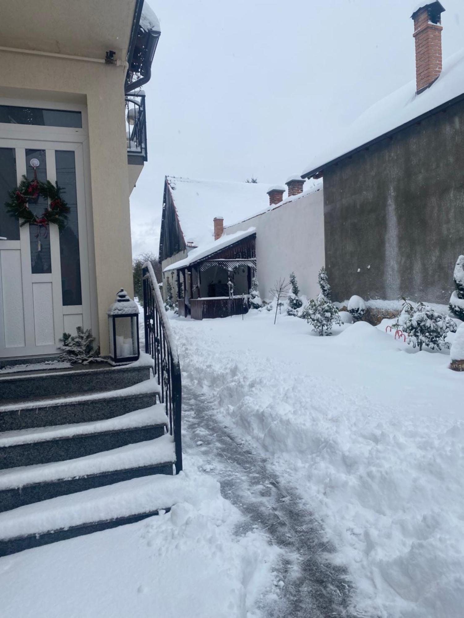 Casa Leny Hotel Tohanu Nou Eksteriør billede