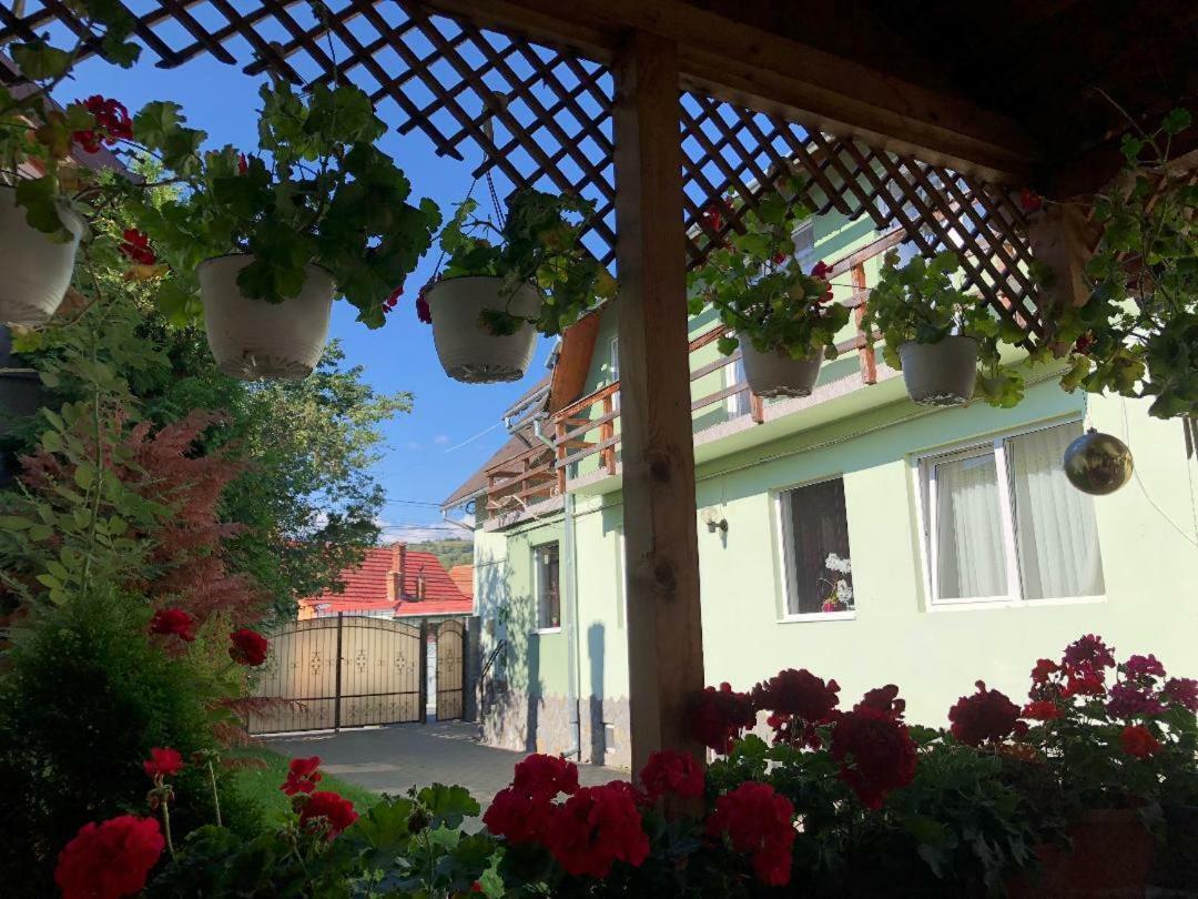 Casa Leny Hotel Tohanu Nou Eksteriør billede